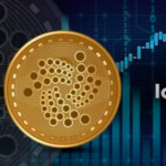 ¿Qué es la IOTA?