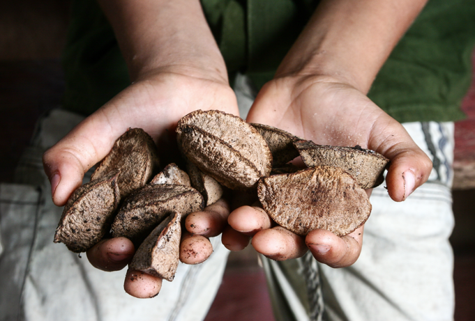 En este momento estás viendo 
<span class="bsf-rt-reading-time"><span class="bsf-rt-display-label" prefix="Tiempo de lectura"></span> <span class="bsf-rt-display-time" reading_time="4"></span> <span class="bsf-rt-display-postfix" postfix="mins"></span></span><!-- .bsf-rt-reading-time -->¿Qué es y qué no es la bioeconomía? – UNA Perspectiva Amazónica 
