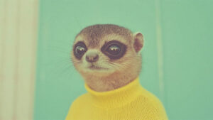 Lee más sobre el artículo 
<span class="bsf-rt-reading-time"><span class="bsf-rt-display-label" prefix="Tiempo de lectura"></span> <span class="bsf-rt-display-time" reading_time="2"></span> <span class="bsf-rt-display-postfix" postfix="mins"></span></span><!-- .bsf-rt-reading-time -->La descarga: la rehabilitación del arte de la IA y la aterradora verdad sobre la resistencia a los antimicrobianos