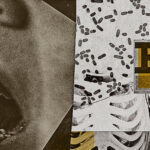 La descarga: cómo los médicos luchan contra las teorías de la conspiración y su huella en la IA