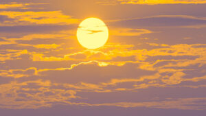 Lee más sobre el artículo 
<span class="bsf-rt-reading-time"><span class="bsf-rt-display-label" prefix="Tiempo de lectura"></span> <span class="bsf-rt-display-time" reading_time="2"></span> <span class="bsf-rt-display-postfix" postfix="mins"></span></span><!-- .bsf-rt-reading-time -->The Download: la carrera de la geoingeniería solar y la mirada hacia el futuro con Los Simpson