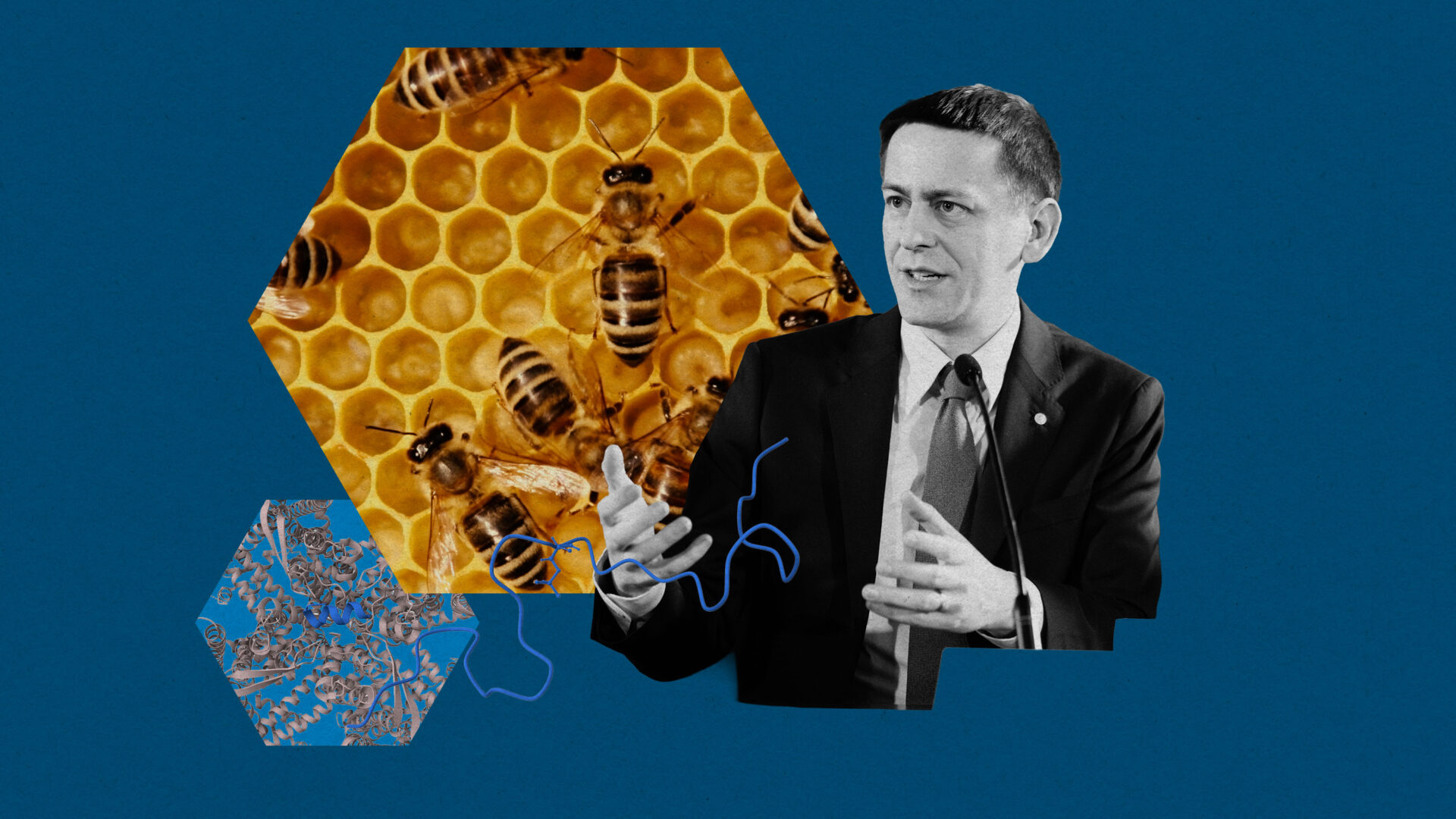 En este momento estás viendo 
<span class="bsf-rt-reading-time"><span class="bsf-rt-display-label" prefix="Tiempo de lectura"></span> <span class="bsf-rt-display-time" reading_time="1"></span> <span class="bsf-rt-display-postfix" postfix="mins"></span></span><!-- .bsf-rt-reading-time -->Qué sigue para AlphaFold: una conversación con un premio Nobel de Google DeepMind