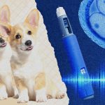 Responda nuestro cuestionario sobre el año en salud y biotecnología