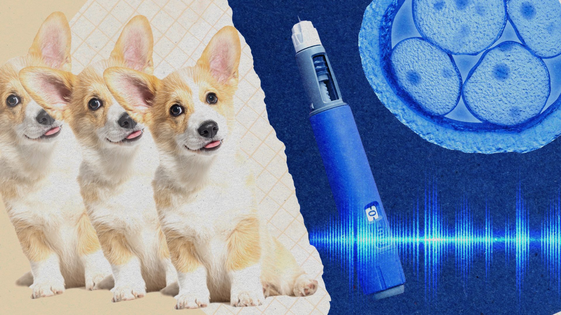 En este momento estás viendo 
<span class="bsf-rt-reading-time"><span class="bsf-rt-display-label" prefix="Tiempo de lectura"></span> <span class="bsf-rt-display-time" reading_time="1"></span> <span class="bsf-rt-display-postfix" postfix="mins"></span></span><!-- .bsf-rt-reading-time -->Responda nuestro cuestionario sobre el año en salud y biotecnología