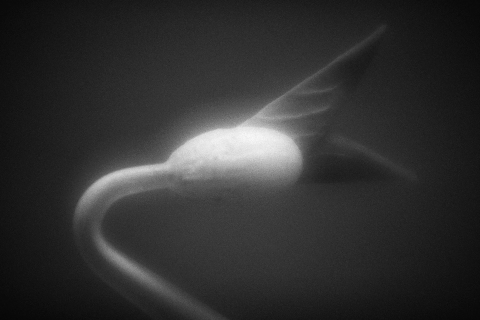 En este momento estás viendo 
<span class="bsf-rt-reading-time"><span class="bsf-rt-display-label" prefix="Tiempo de lectura"></span> <span class="bsf-rt-display-time" reading_time="3"></span> <span class="bsf-rt-display-postfix" postfix="mins"></span></span><!-- .bsf-rt-reading-time -->Servicio comunitario