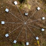 Escuche la ruidosa y secreta banda sonora de la Tierra