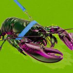 Los estafadores están sacando provecho de la moda de la IA OpenClaw en China