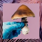 Las sustancias que alteran la mente (todavía) se quedan cortas en los ensayos clínicos