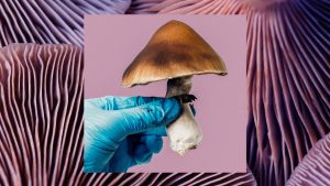 Lee más sobre el artículo 
<span class="bsf-rt-reading-time"><span class="bsf-rt-display-label" prefix="Tiempo de lectura"></span> <span class="bsf-rt-display-time" reading_time="3"></span> <span class="bsf-rt-display-postfix" postfix="mins"></span></span><!-- .bsf-rt-reading-time -->Las sustancias que alteran la mente (todavía) se quedan cortas en los ensayos clínicos