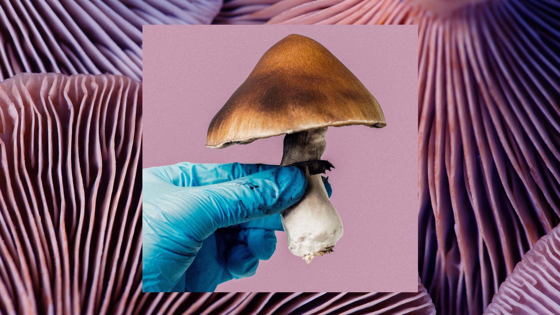 En este momento estás viendo 
<span class="bsf-rt-reading-time"><span class="bsf-rt-display-label" prefix="Tiempo de lectura"></span> <span class="bsf-rt-display-time" reading_time="3"></span> <span class="bsf-rt-display-postfix" postfix="mins"></span></span><!-- .bsf-rt-reading-time -->Las sustancias que alteran la mente (todavía) se quedan cortas en los ensayos clínicos