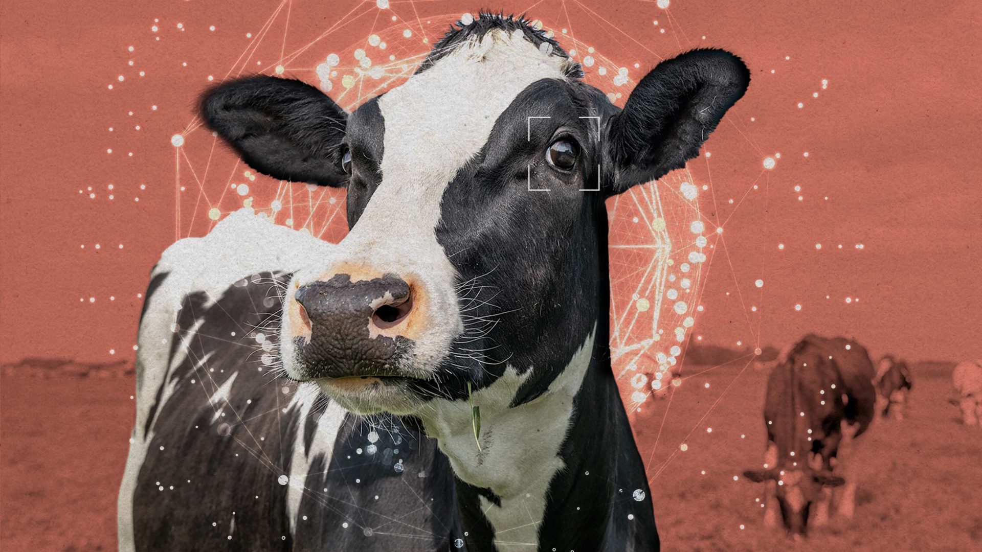 En este momento estás viendo 
<span class="bsf-rt-reading-time"><span class="bsf-rt-display-label" prefix="Tiempo de lectura"></span> <span class="bsf-rt-display-time" reading_time="2"></span> <span class="bsf-rt-display-postfix" postfix="mins"></span></span><!-- .bsf-rt-reading-time -->El movimiento por el bienestar animal del Área de la Bahía quiere reclutar IA