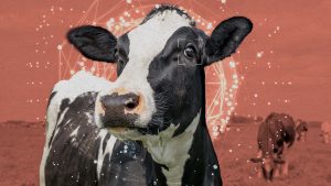 Lee más sobre el artículo 
<span class="bsf-rt-reading-time"><span class="bsf-rt-display-label" prefix="Tiempo de lectura"></span> <span class="bsf-rt-display-time" reading_time="2"></span> <span class="bsf-rt-display-postfix" postfix="mins"></span></span><!-- .bsf-rt-reading-time -->La descarga: el bienestar animal se ve reforzado por el AGI y la Casa Blanca revela su política de IA