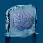 Este científico recalentó y estudió piezas del cerebro criopreservado de su amigo