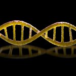 Nadie está seguro de si la vida en espejo sintético nos matará a todos