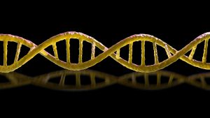 Lee más sobre el artículo 
<span class="bsf-rt-reading-time"><span class="bsf-rt-display-label" prefix="Tiempo de lectura"></span> <span class="bsf-rt-display-time" reading_time="2"></span> <span class="bsf-rt-display-postfix" postfix="mins"></span></span><!-- .bsf-rt-reading-time -->Nadie está seguro de si la vida en espejo sintético nos matará a todos