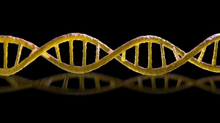 on the left, a hand with petri dish and the same image inverted on the right