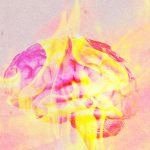 La descarga: olas de calor que derriten el cerebro y restricciones de OpenAI sin precedentes
